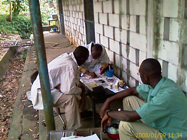 Field-based scientific work